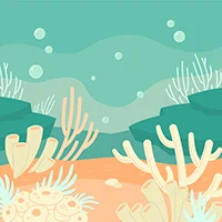 Sea / Beach 