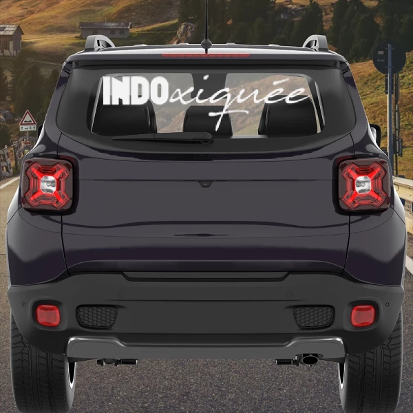Sticker INDOxiquée